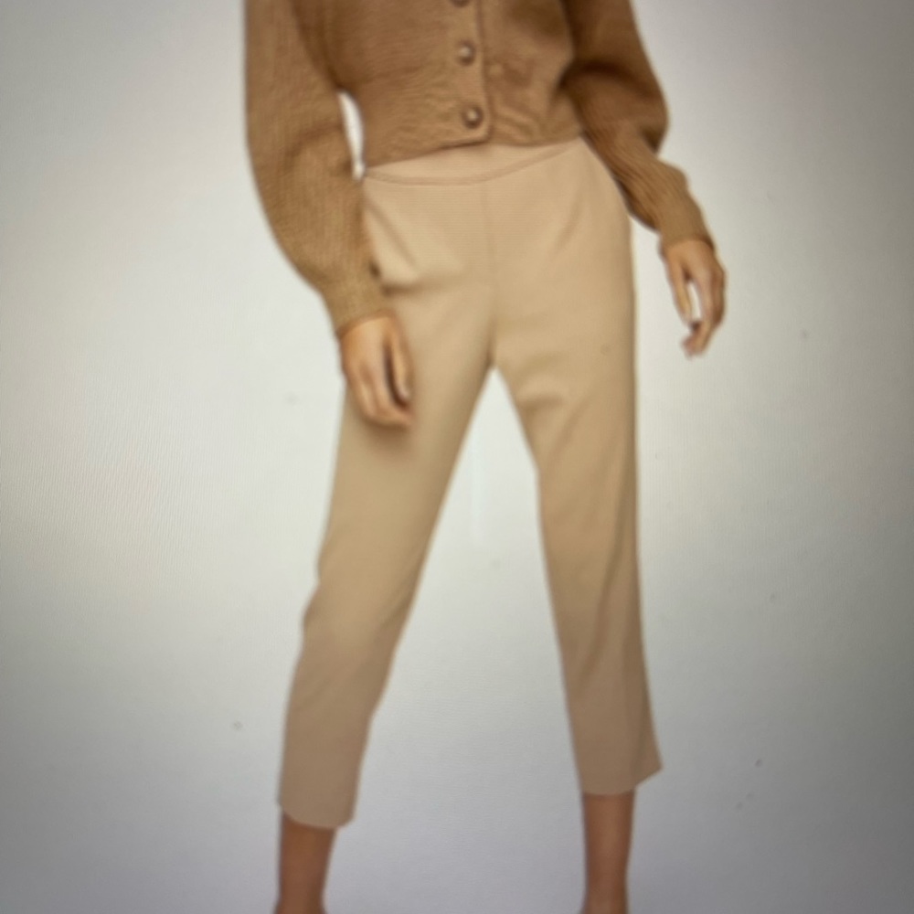 Aritzia Babaton Pant  *Olive Beige